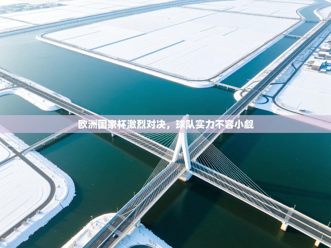 欧洲国家杯激烈对决，球队实力不容小觑  第1张