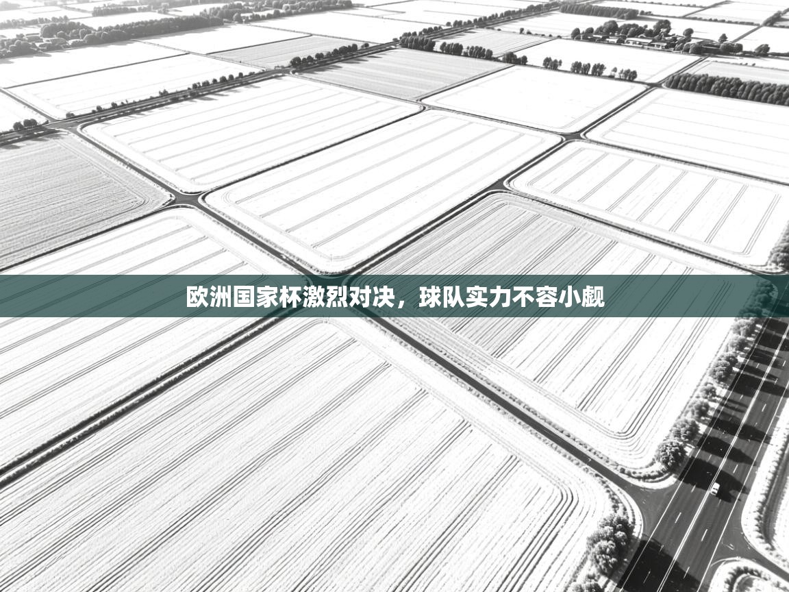 欧洲国家杯激烈对决，球队实力不容小觑  第2张
