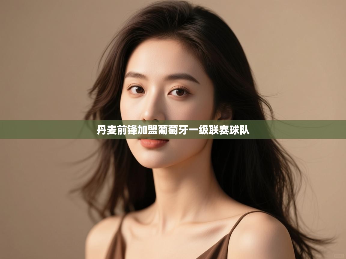 丹麦前锋加盟葡萄牙一级联赛球队 第2张