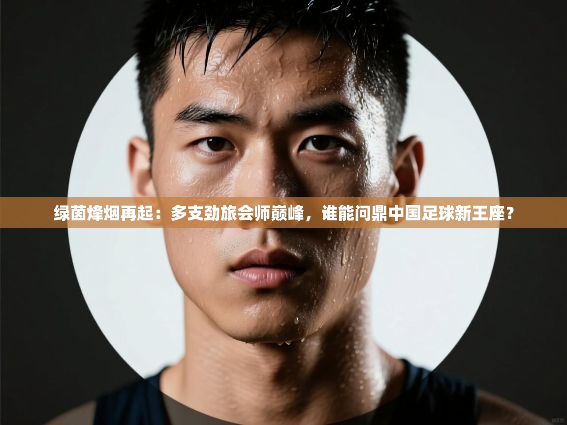 绿茵烽烟再起:多支劲旅会师巅峰,谁能问鼎中国足球新王座? 第2张