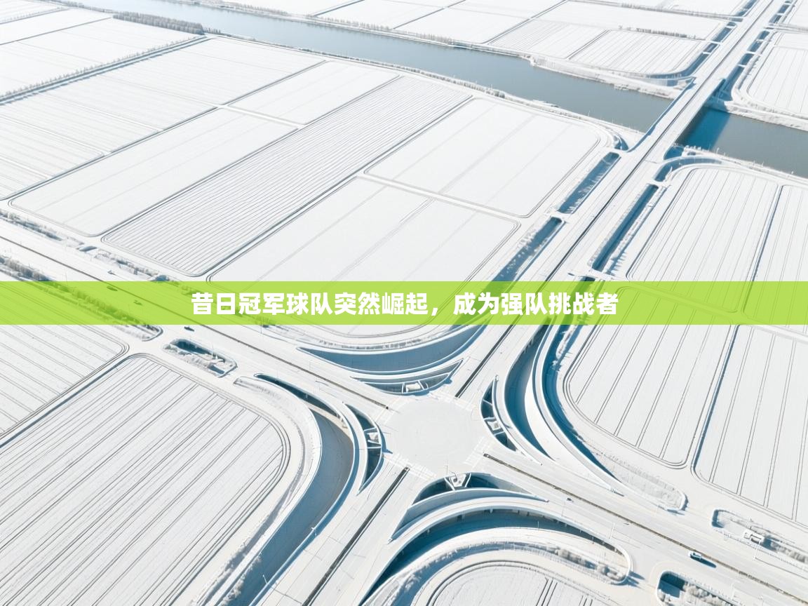 昔日冠军球队突然崛起，成为强队挑战者  第2张