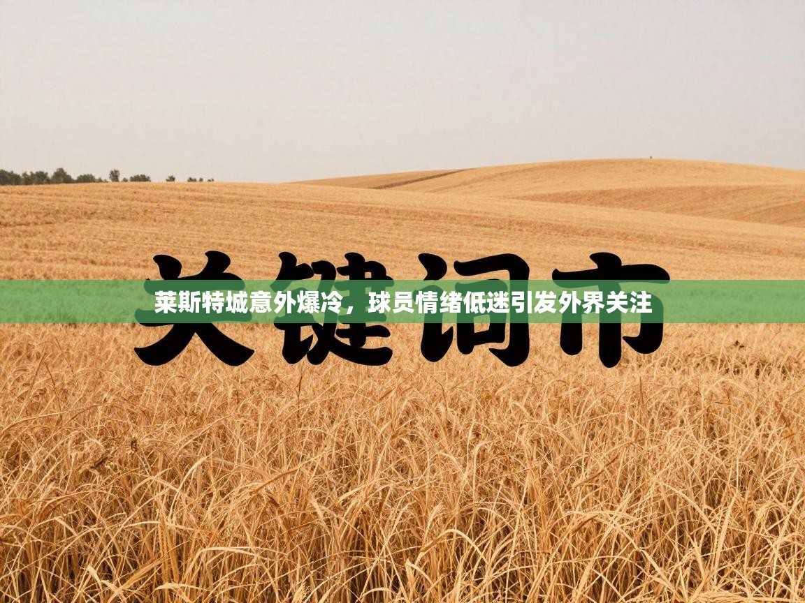 莱斯特城意外爆冷,球员情绪低迷引发外界关注 第1张