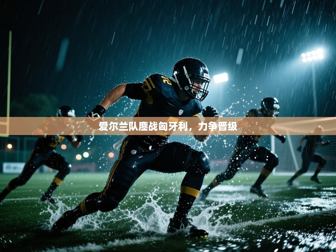 爱尔兰队鏖战匈牙利,力争晋级 第2张