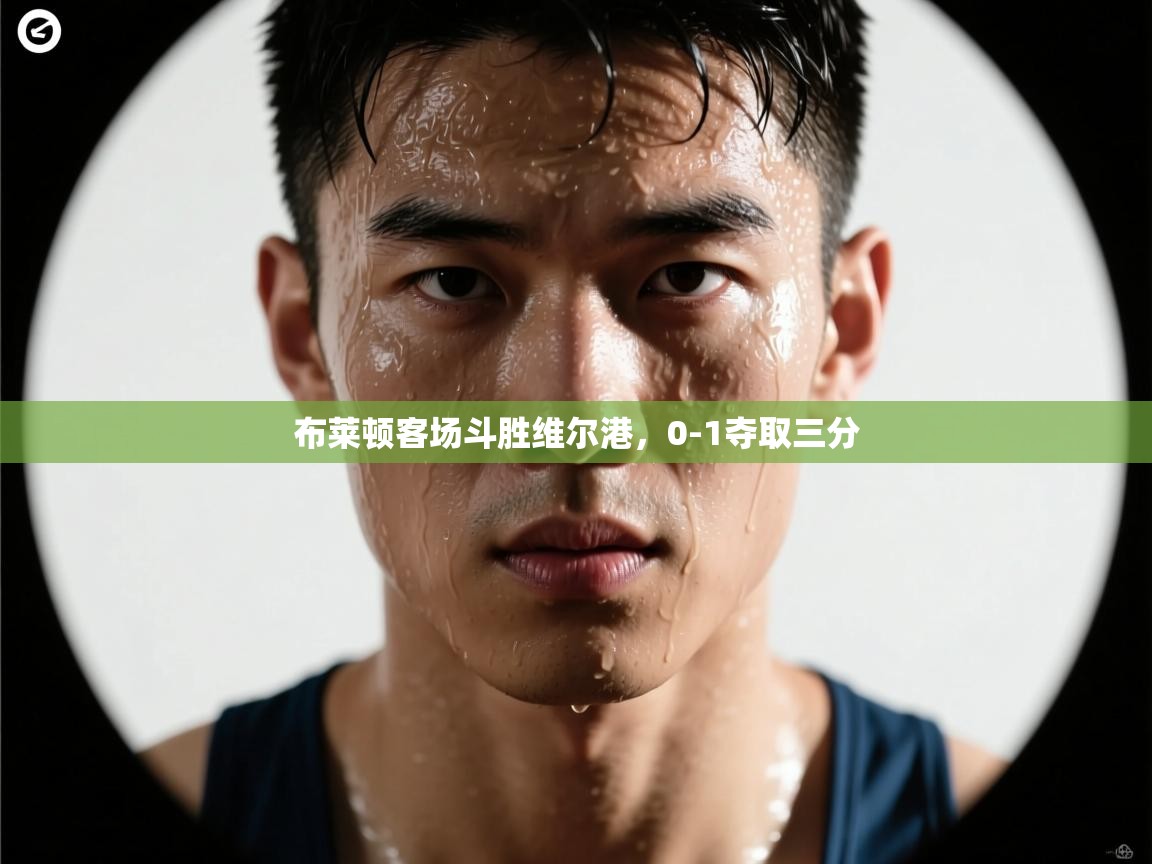 布莱顿客场斗胜维尔港，0-1夺取三分