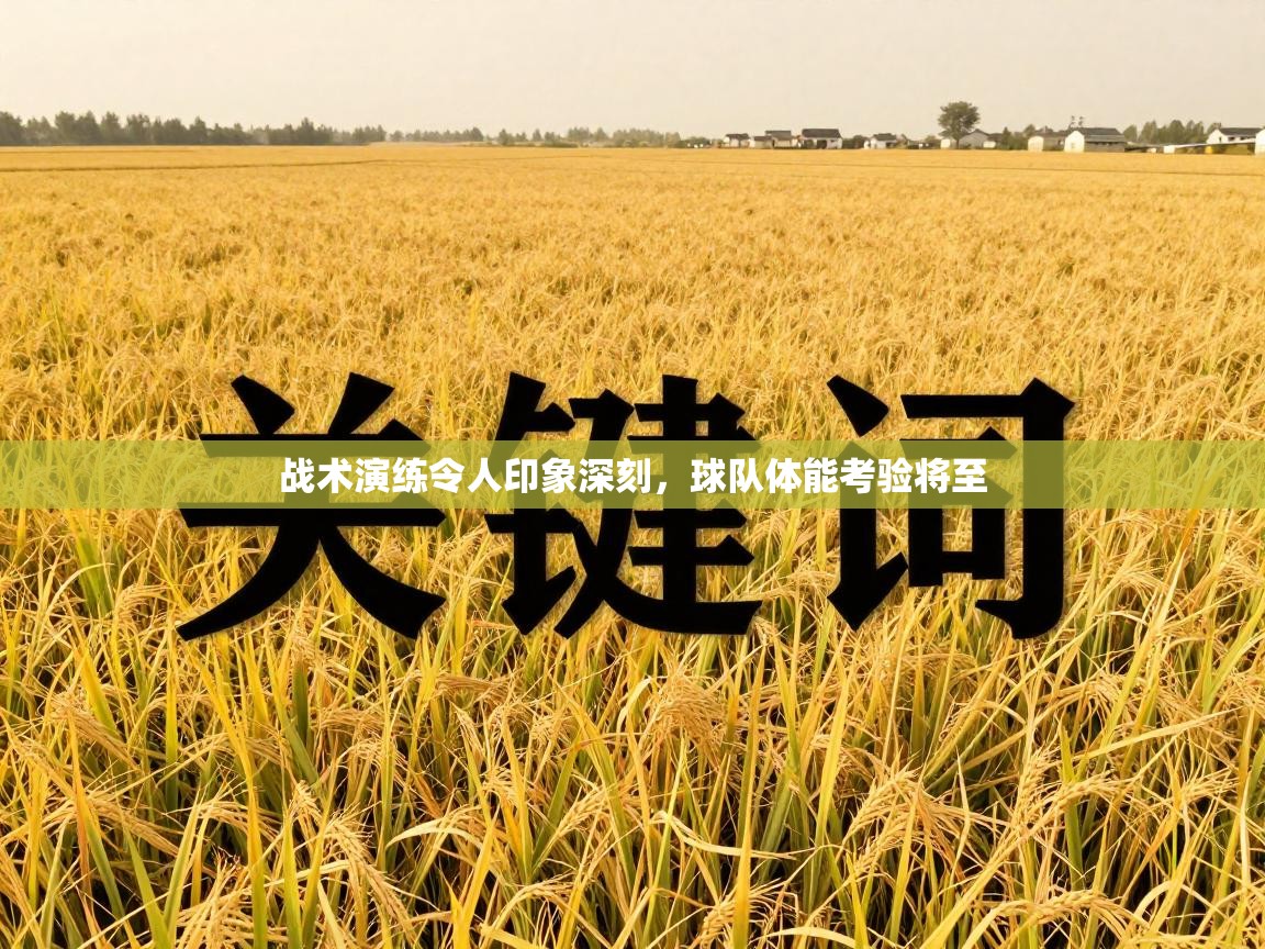 战术演练令人印象深刻,球队体能考验将至 第1张